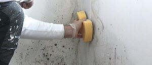 Paint Mould